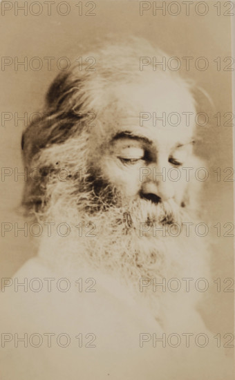 Walt Whitman, c1861. Creator: Unknown.