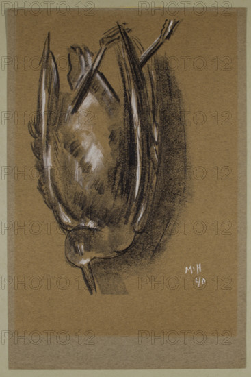 Gull, c1940. Creator: Marsden Hartley.