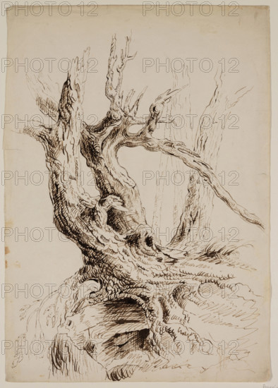 Gnarled Tree Trunk, c1826. Creator: Thomas Cole.