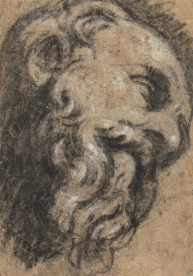 Study after Michelangelo's Saint Damian, c.between 1545 and 1550. Creator: Jacopo Tintoretto.