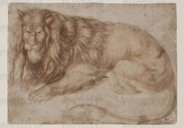 Recumbent Lion, between 1494 and 1495. Creator: Albrecht Durer.