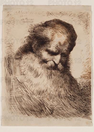 Head of an Old Man, mid-17th century. Creator: Giovanni Benedetto Castiglione.