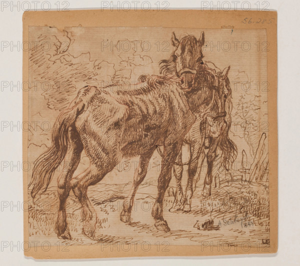Two Horses, 1898. Creator: Christian Adolf Schreyer.