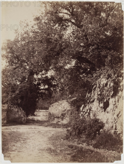 Forest Path, c1853. Creator: Eugène Cuvelier.