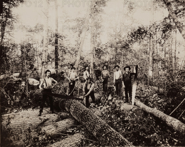 Lumbering Days in Ludington, Michigan, 1890. Creator: H. J. Hansen.
