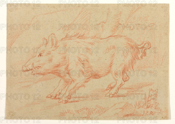 Wild Boar, between 1698 and 1769. Creator: Johann Elias Ridinger.