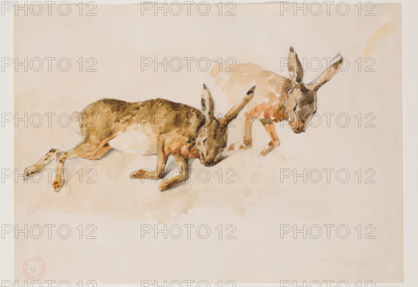 Two Studies of a Hare, between 1840 and 1876. Creator: Eugene Fromentin.