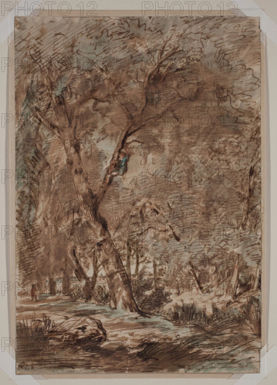A - Birding, between 1812 and 1867. Creator: Theodore Rousseau.