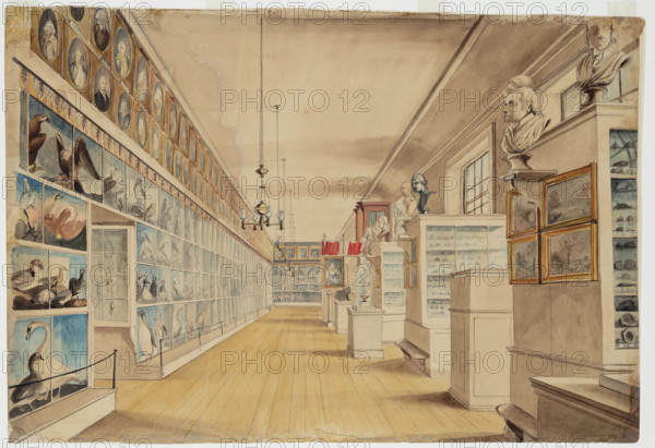 The Long Room, Interior of Front Room in Peale's Museum, 1822. Creators: Charles Willson Peale, Titian Ramsay Peale.