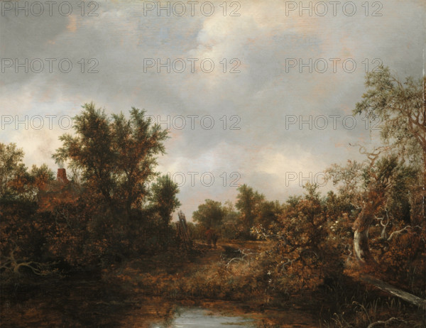 Landscape, c1646. Creator: Jacob van Ruisdael.
