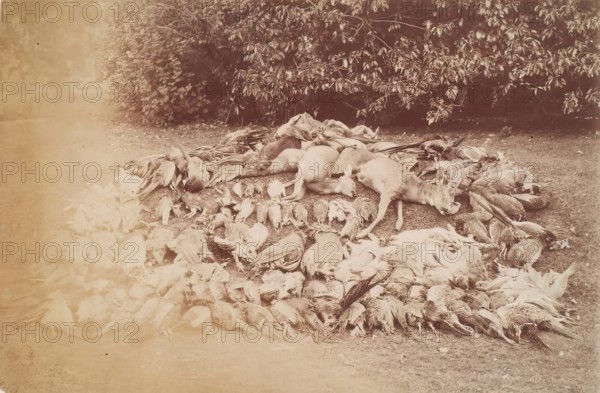 Dead Game, Perthshire, from an album compiled by Sir John Everett Millais. Creator: Unknown.