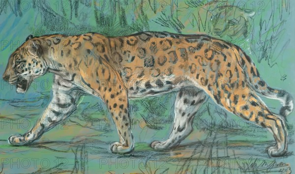 Jaguar Walking, 1903. Creator: John MacAllan Swan.