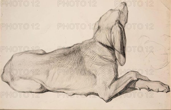 Study of a Labrador, c1840s. Creator: John Phillip.