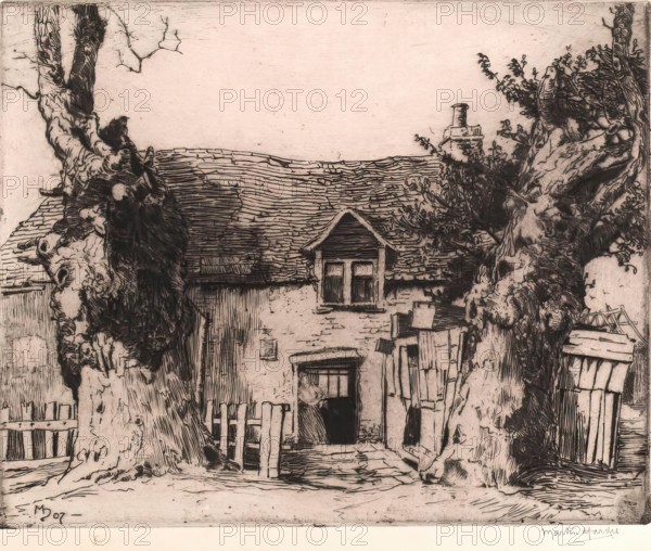 Dulieu's Pig Farm, 1907. Creator: Martin Hardie.