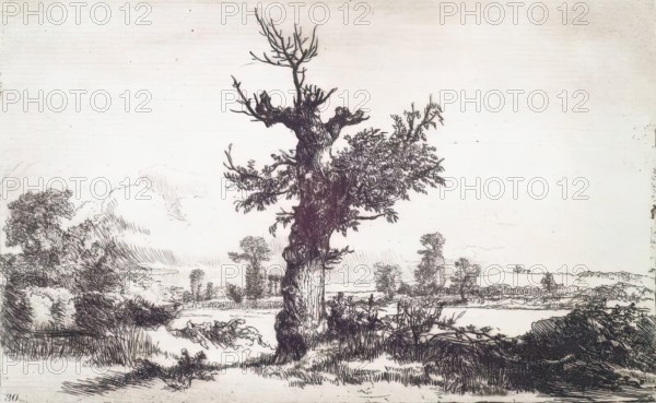 Halliford on Thames: Stump of a Tree in Centre, c1826. Creator: Andrew Geddes.