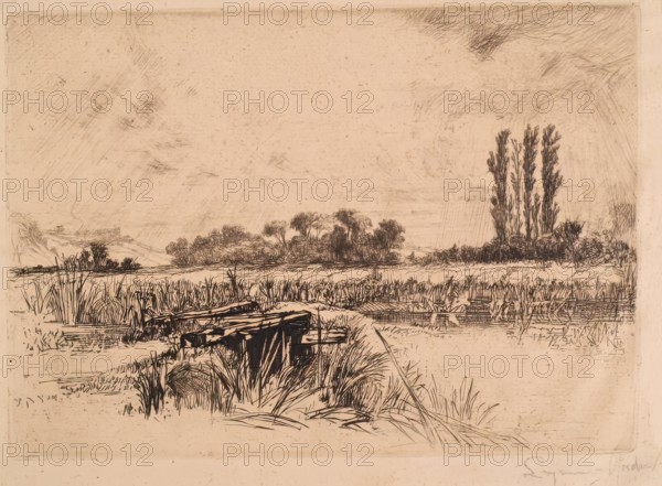 Water Meadows, c1859. Creator: Francis Seymour Haden.