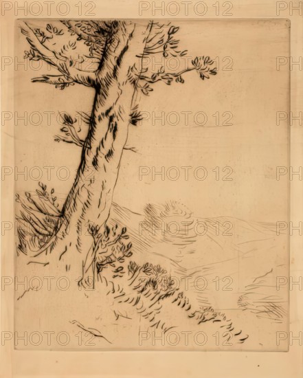 Tronc D'arbre, c1879. Creator: Alphonse Legros.