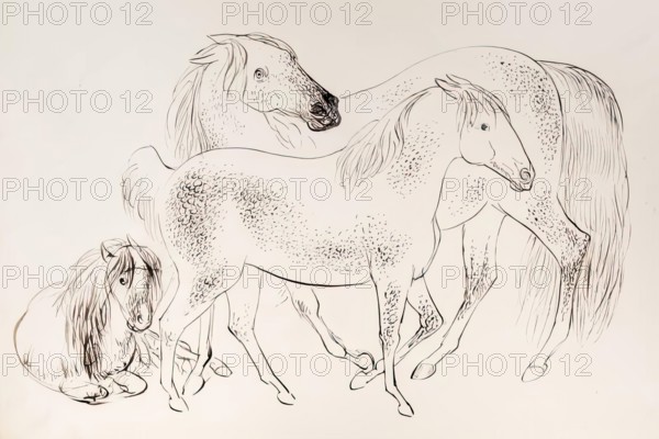 A group of three horses, 1825-1839. Creator: James Howe.