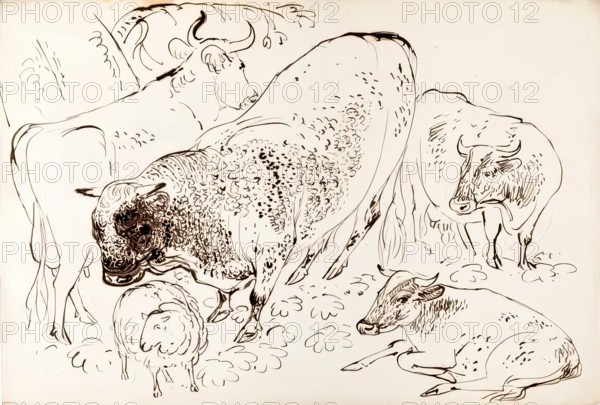 Four Cows and A Sheep, 1825-1839. Creator: James Howe.