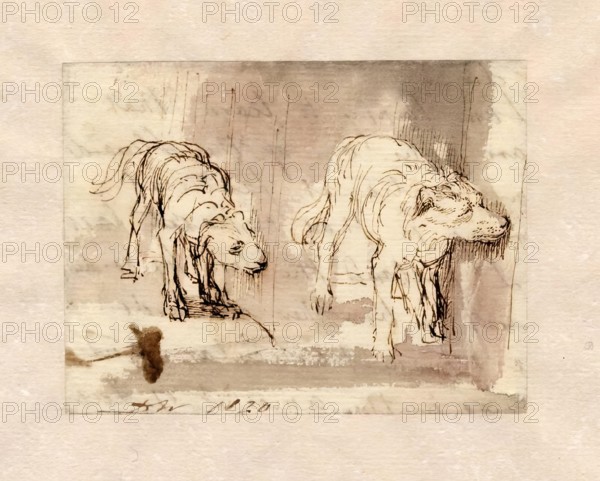 Study of Dogs, 1820. Creator: David Wilkie.
