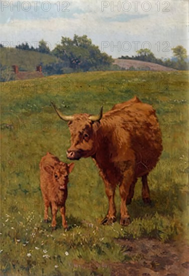 Cow and Calf, 1881. Creator: Bryan Hook.