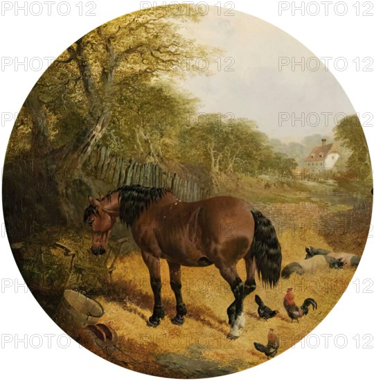 Horses, Pigs and Poultry, 1852. Creator: John Frederick Herring I.
