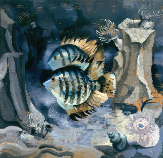 Angelfish - London Aquarium, 1930. Creator: Christopher Wood.