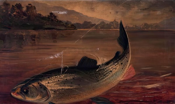 Sea Trout, 1895. Creator: E P Bradly.