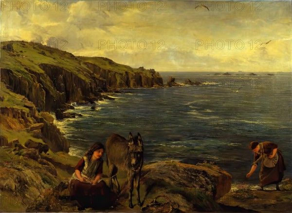 Sea Daisies, c1886. Creator: James Clarke Hook.