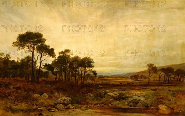 Glen Dee Deer-Forest, 1869. Creator: James Docharty.