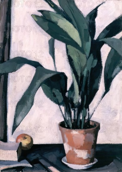 Aspidistra, 1927. Creator: Samuel John Peploe.