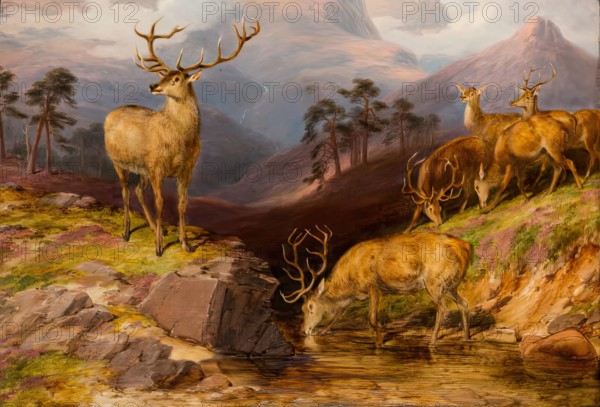 Deer, 1854. Creator: James William Giles.