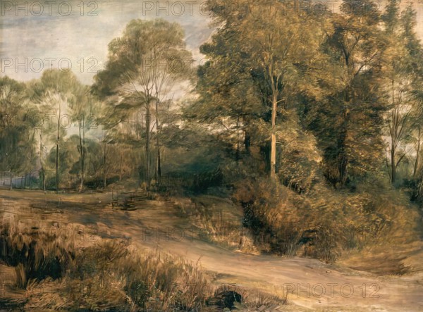 A Wooded Landscape, c1815. Creator: David Wilkie.