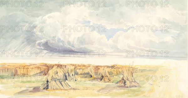 Cornfield with Stormy Sky. Creator: Sophia Dunbar.