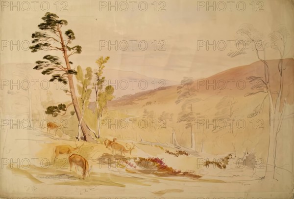 In the Lui More, 1844. Creator: James William Giles.