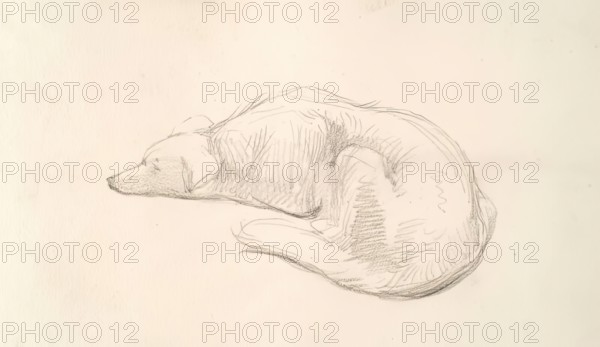 A Dog, c1830s. Creator: John Phillip.