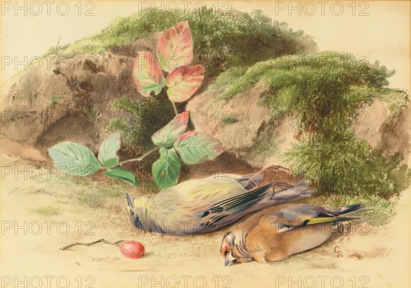 Dead Birds, 1875-1899. Creator: George Reid.