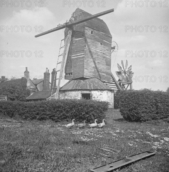 The semi derelict post mill at Crow's Green, Bardfield Saling, Braintree, Essex, 1935. Creator: HES Simmons.