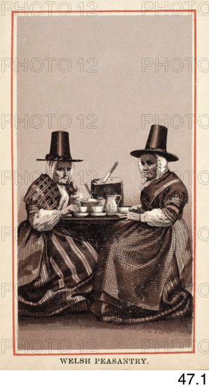 Welsh Peasantry, c1860s-1880s. Creator: Charles Smith Allen.