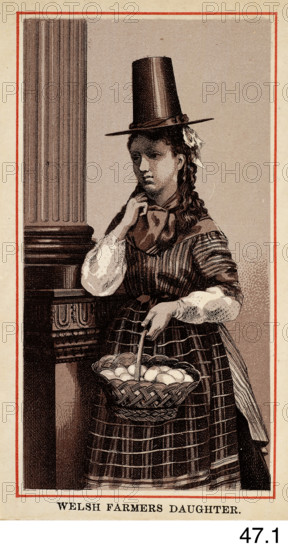 Welsh Farmer's Daughter, c1860s-1880s. Creator: Charles Smith Allen.