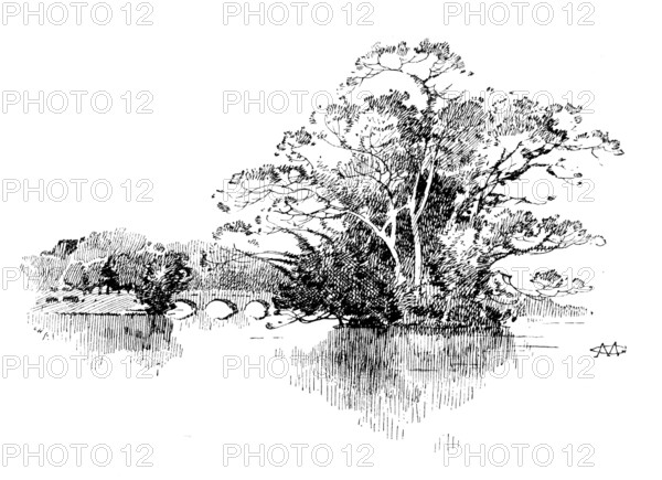 Eastwell Park: the Lake, 1895. Creator: Unknown.