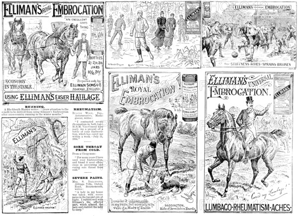 Advertisement for Elliman's Royal and Universal Embrocations, 1895. Creator: Unknown.
