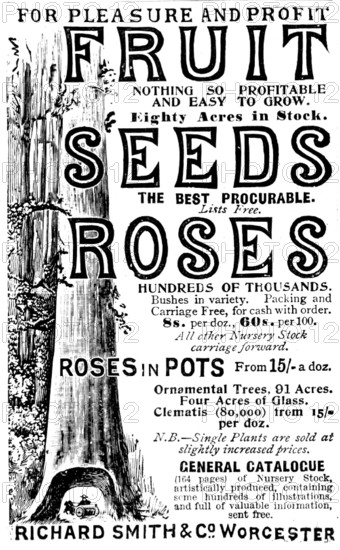 Advertisement for Richard Smith & Co's Fruit, Seeds and Roses, 1895. Creator: Unknown.