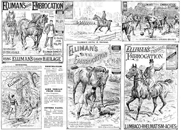 Advertisement for Elliman's Royal and Universal Embrocations, 1895. Creator: Unknown.