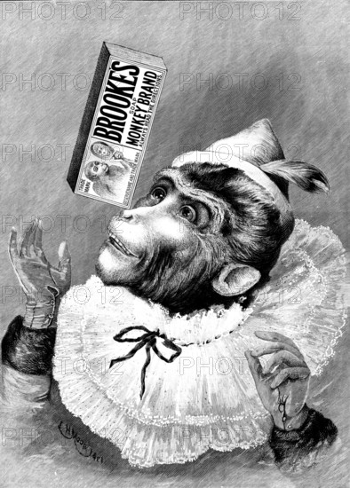 Advertisement for Brooke's Monkey Brand Soap, 1895.  Creator: Unknown.