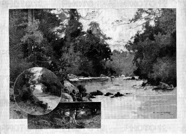 The Homes of Irish Landlords - No. I. Curraghmore: views in the park, 1895. Creator: Unknown.