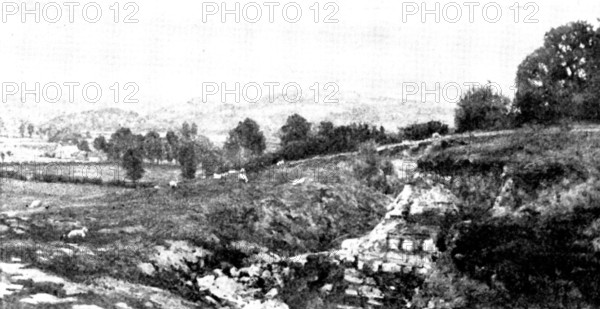 Pictures from the New Gallery: A Somerset Pastoral - L. Leslie Brooke, 1895. Creator: George Meisenbach.