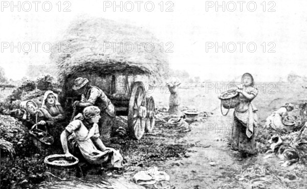 Pictures from the New Gallery: Potato Harvest, Malvern Hills - John Parker, 1895. Creator: George Meisenbach.