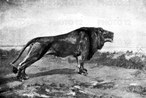 Pictures from the New Gallery: Evensong - J. T. Nettleship, 1895. Creator: George Meisenbach.