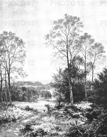 Pictures from the Royal Academy: A Sunny Morning: Surrey - B. W. Leader, A.R.A., 1895. Creator: George Meisenbach.